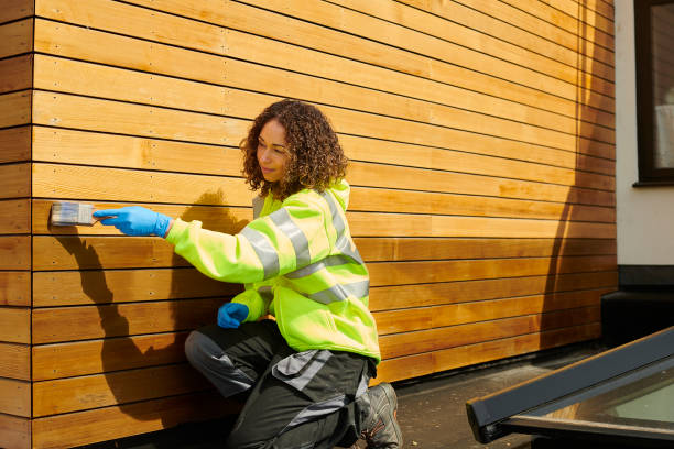 Best Vinyl Siding Installation  in Morton, PA